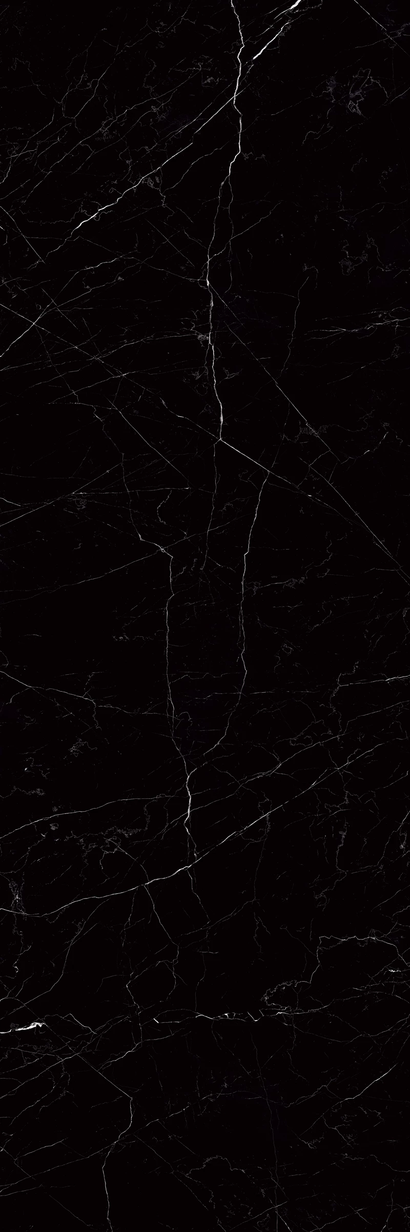 Belgiun Black F2
