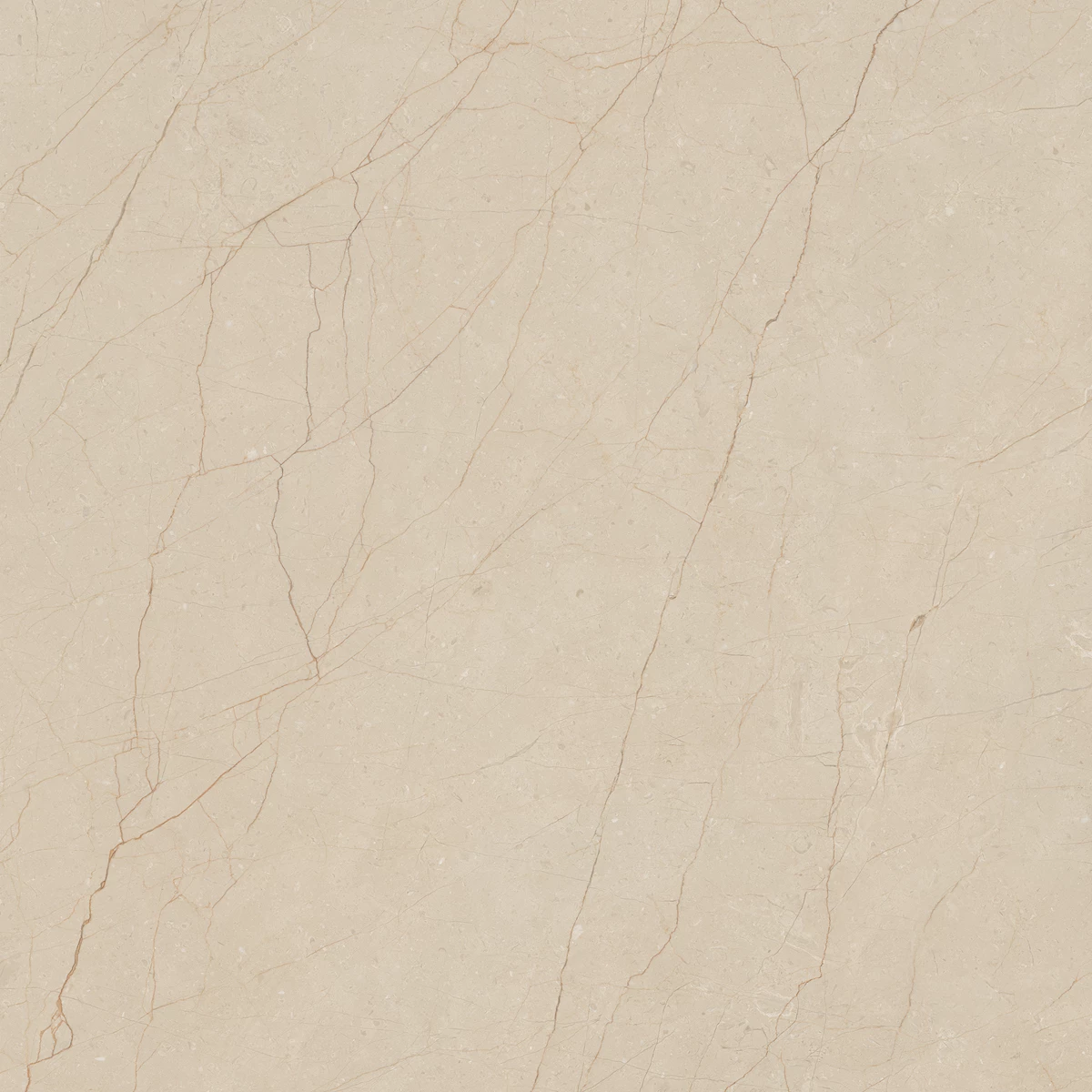 ANTICA NATURAL_03