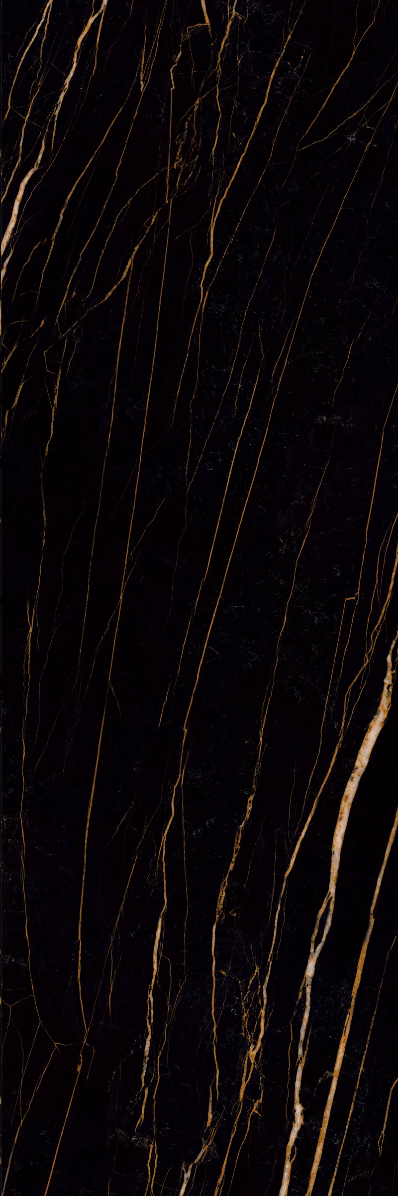 Black Gold F3