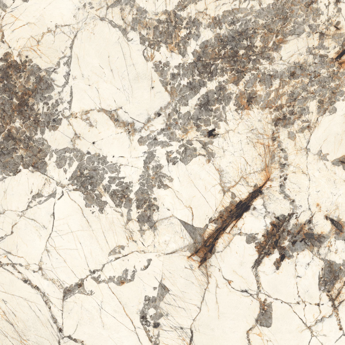 ARISTONE CEROBE_02