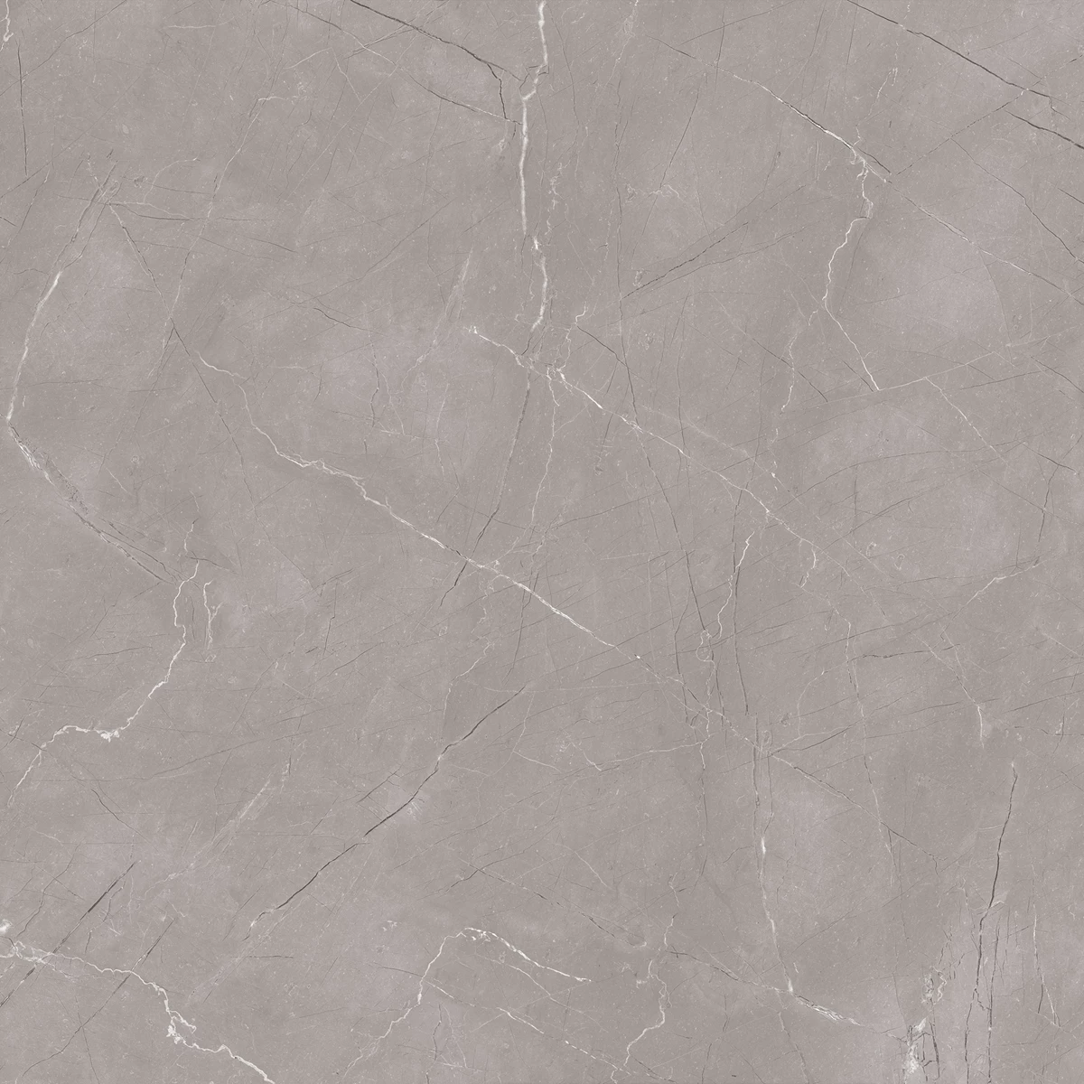ASHPAR GREY_02