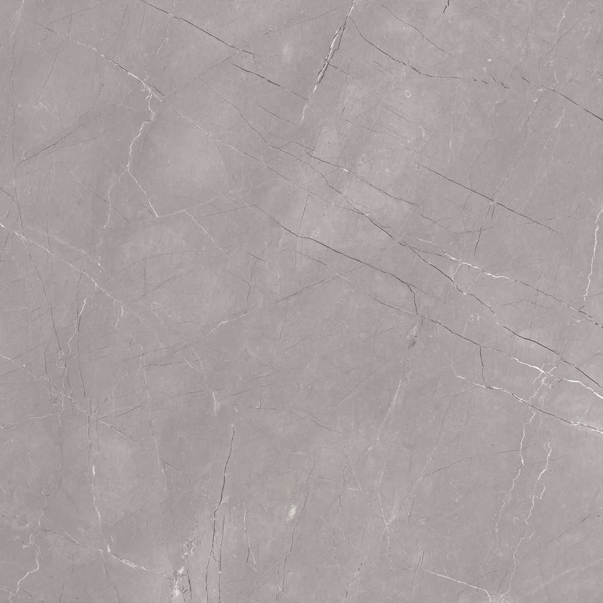 ASHPAR GREY_03