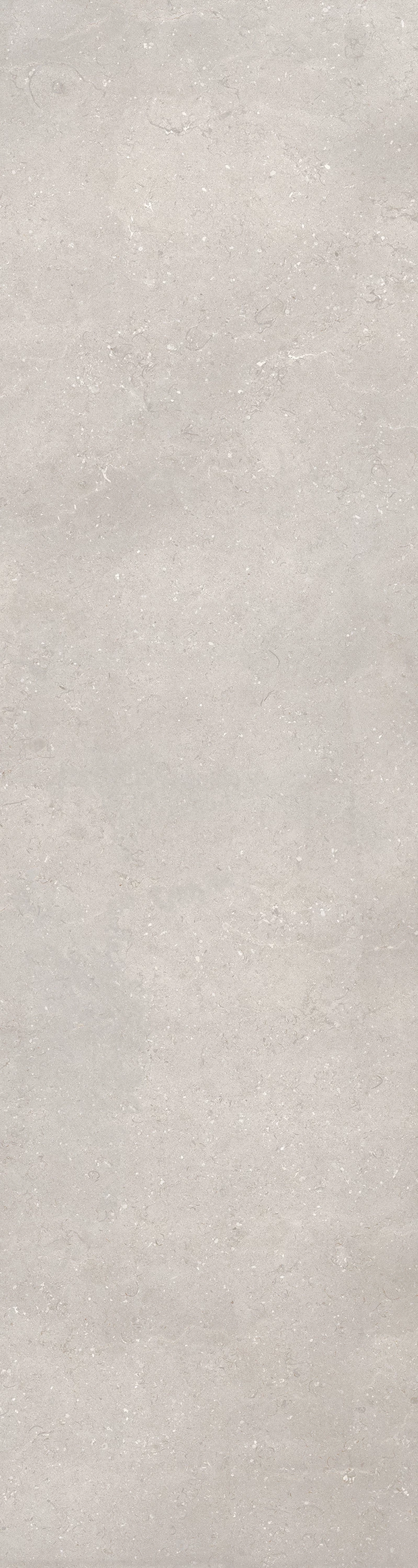 DOVE GREY_2