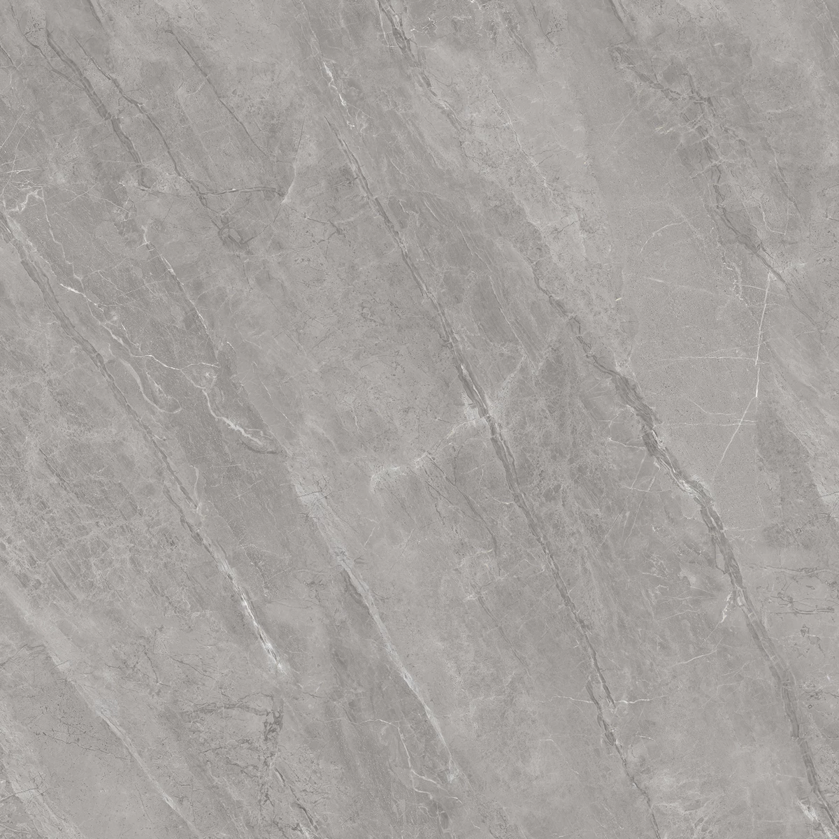CLIVE FOSSIL_02
