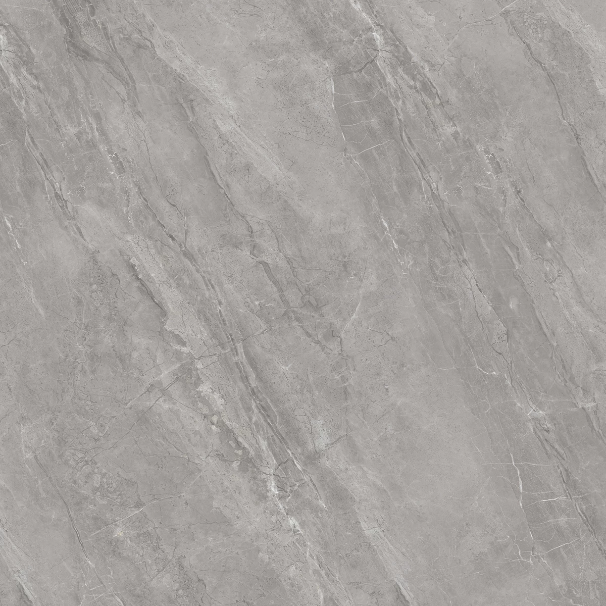 CLIVE FOSSIL_03