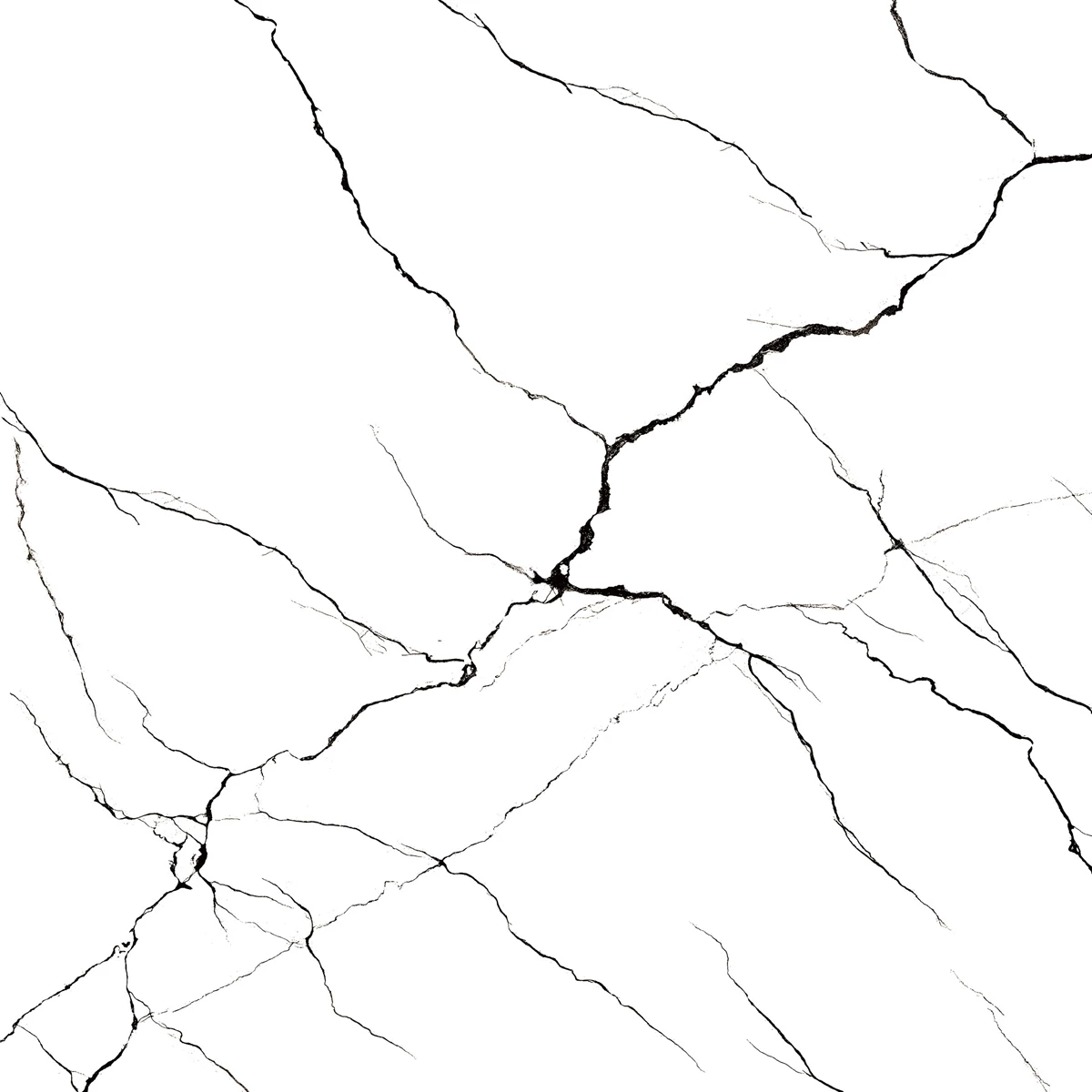 BRATVI WHITE_02