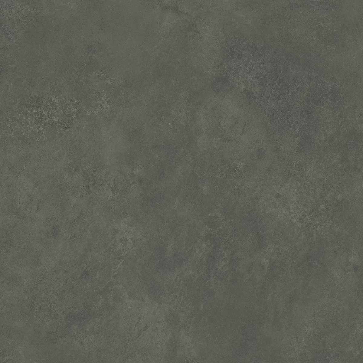 ALEXA SHADOW_03