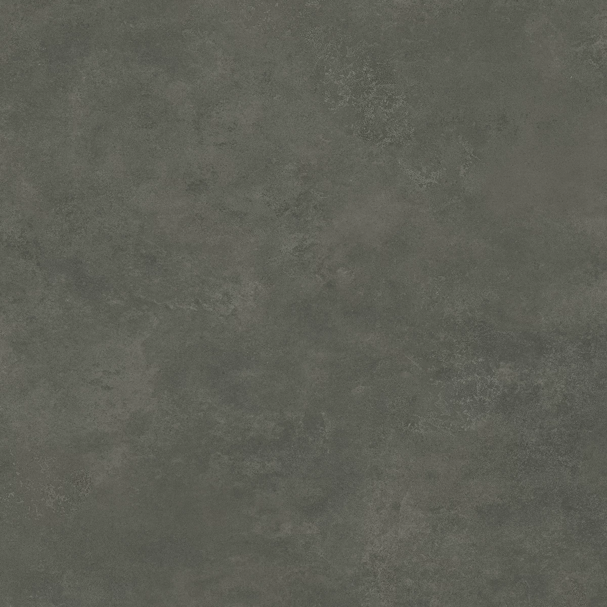 ALEXA SHADOW_04