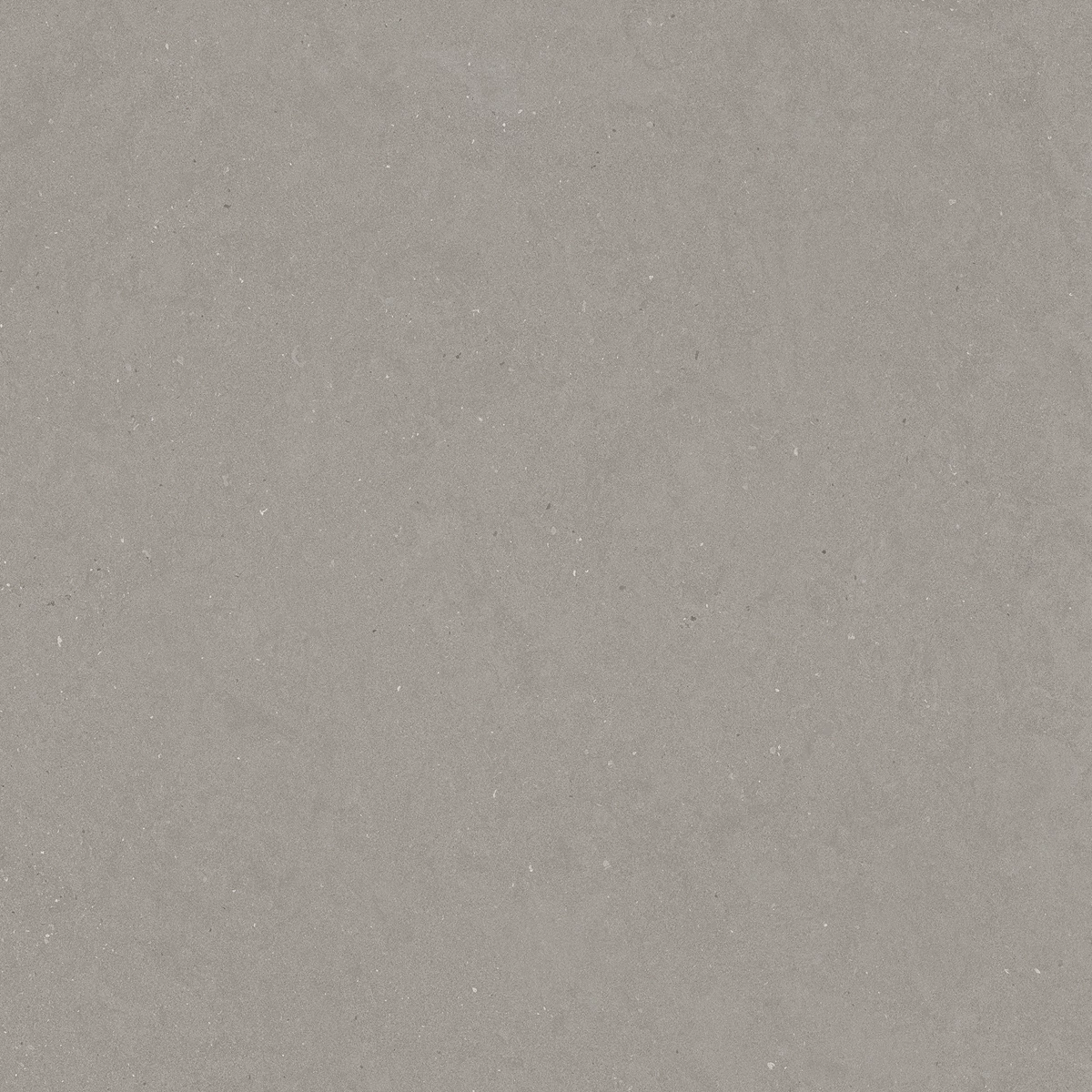 DAKOTA GREY_01