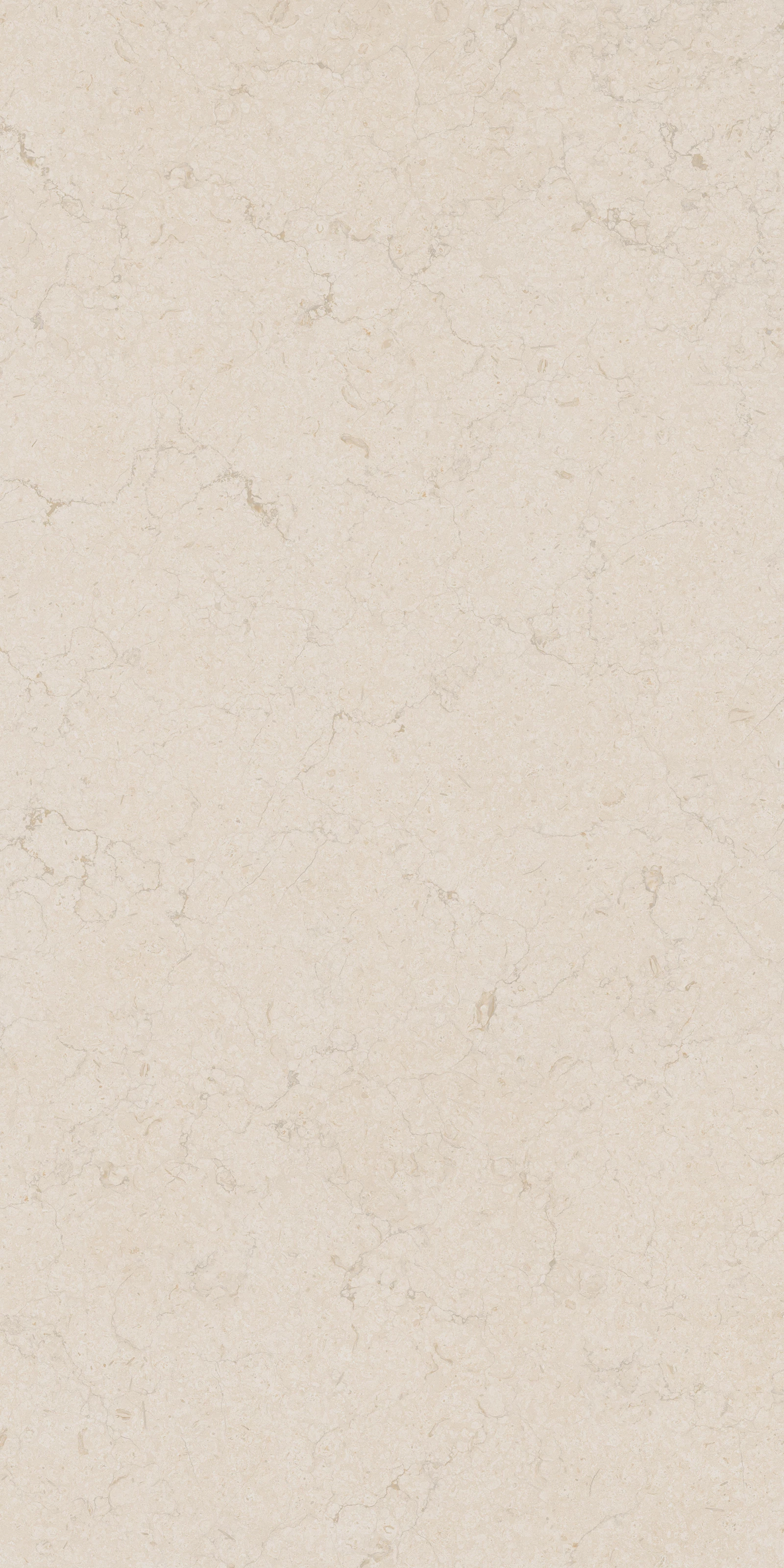 Limestone Beige (Beige BODY)