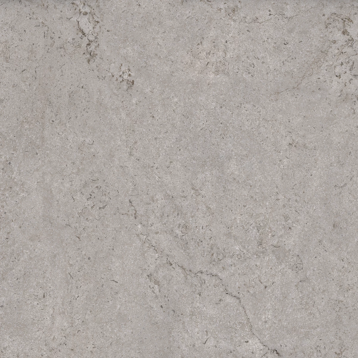BERKANE GREY_03
