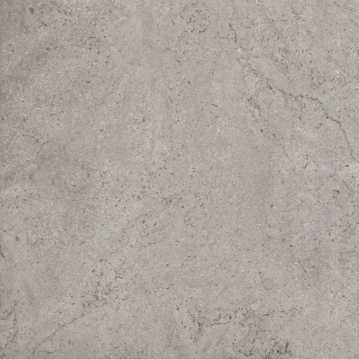 BERKANE GREY_02
