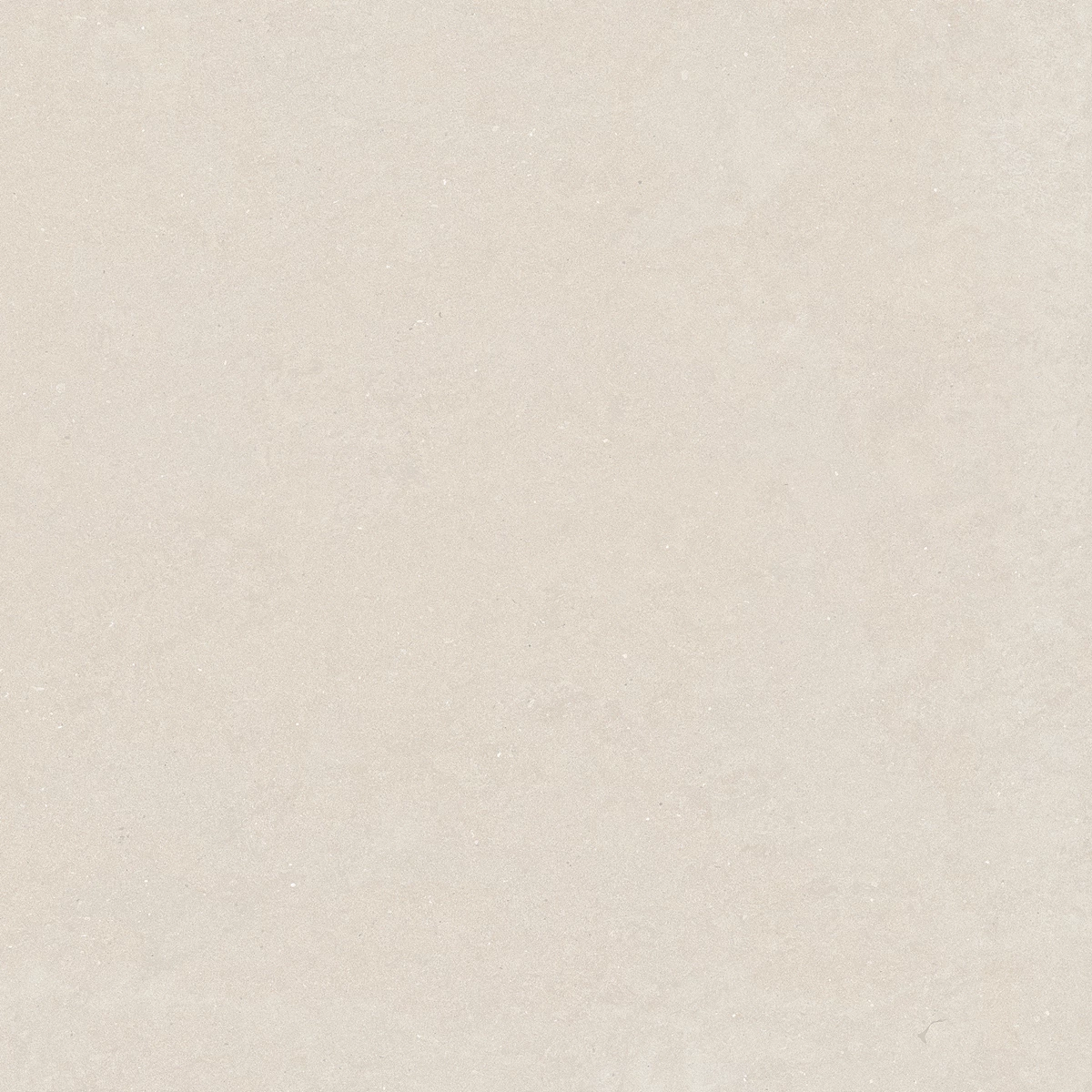 DAKOTA BEIGE_04