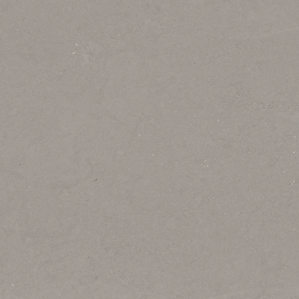 DAKOTA GREY_05