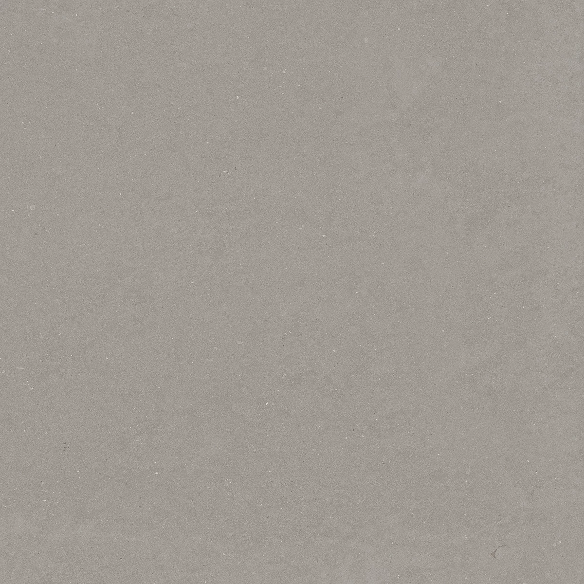 DAKOTA GREY_04