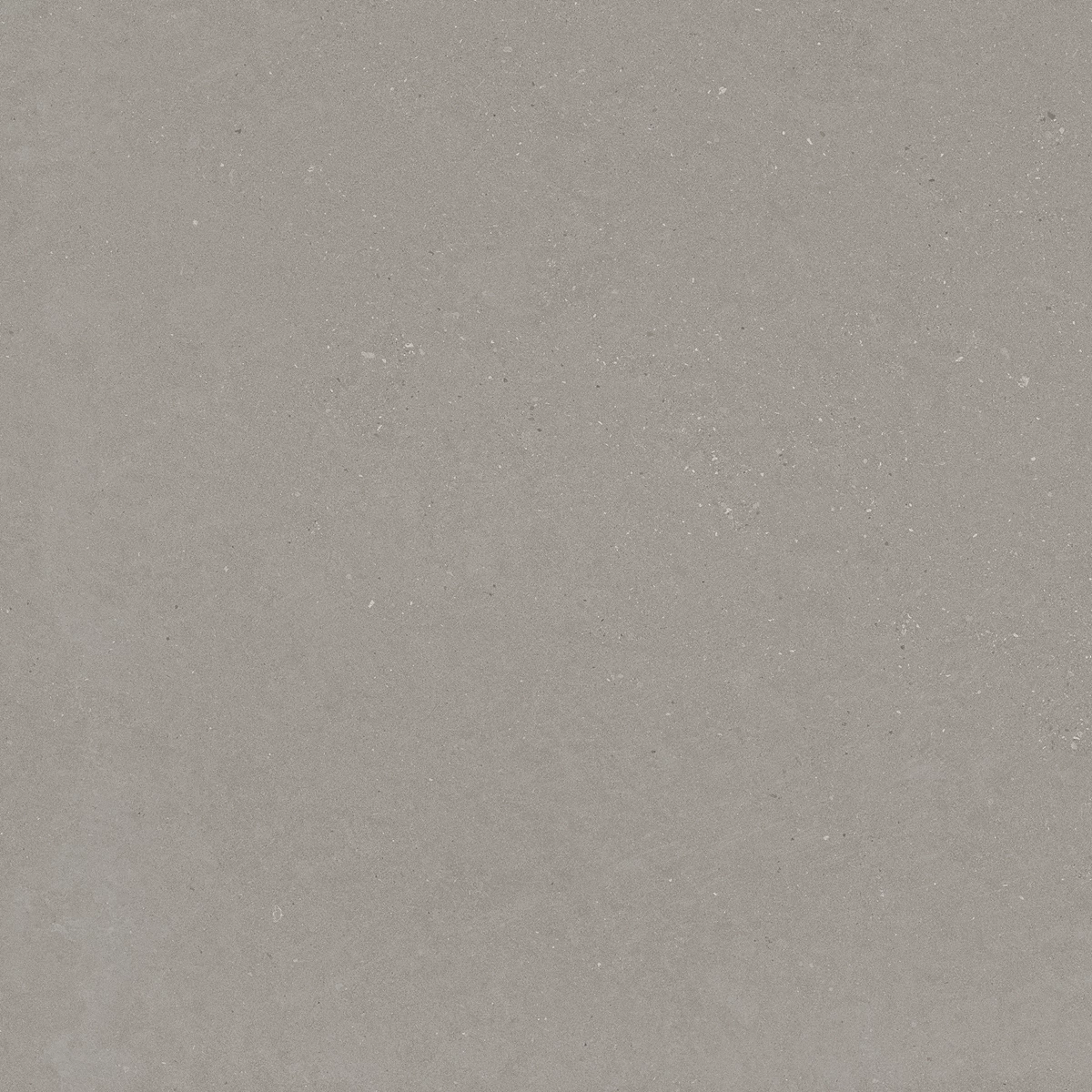 DAKOTA GREY_02