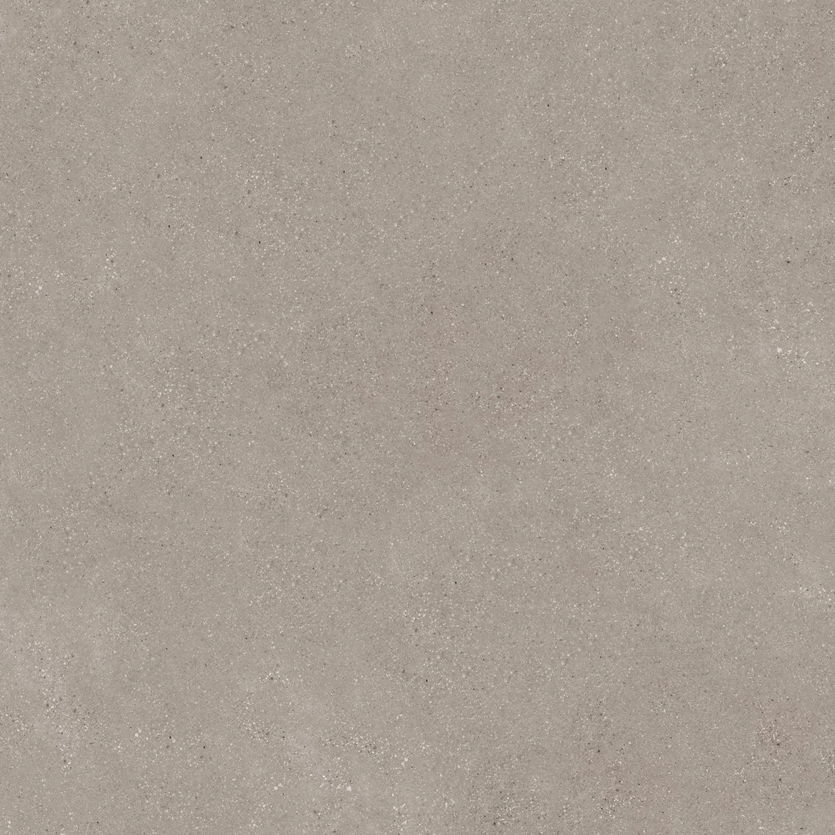 DUST BROWN_03