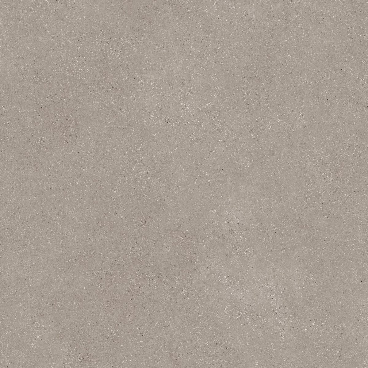 DUST BROWN_02
