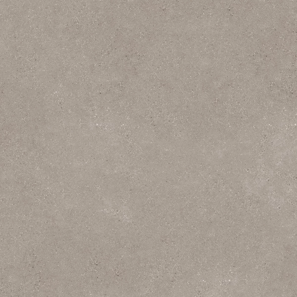 DUST BROWN_04