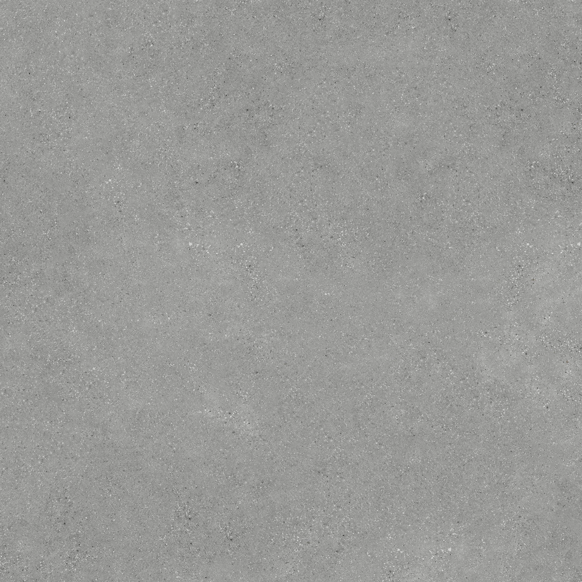 DUST GREY_04