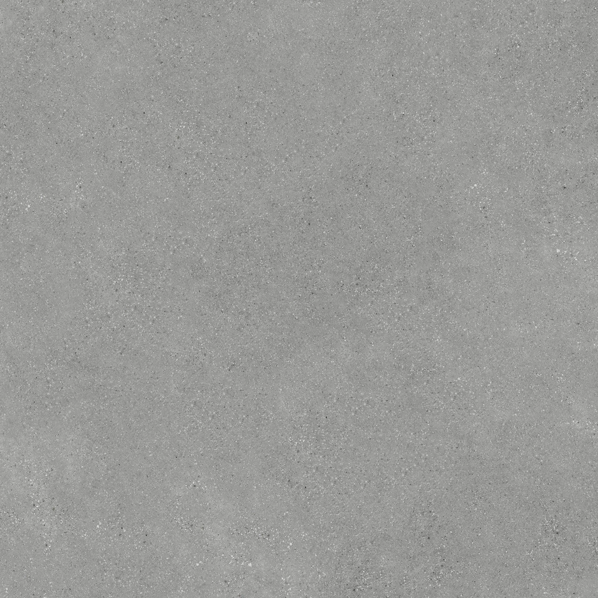 DUST GREY_03