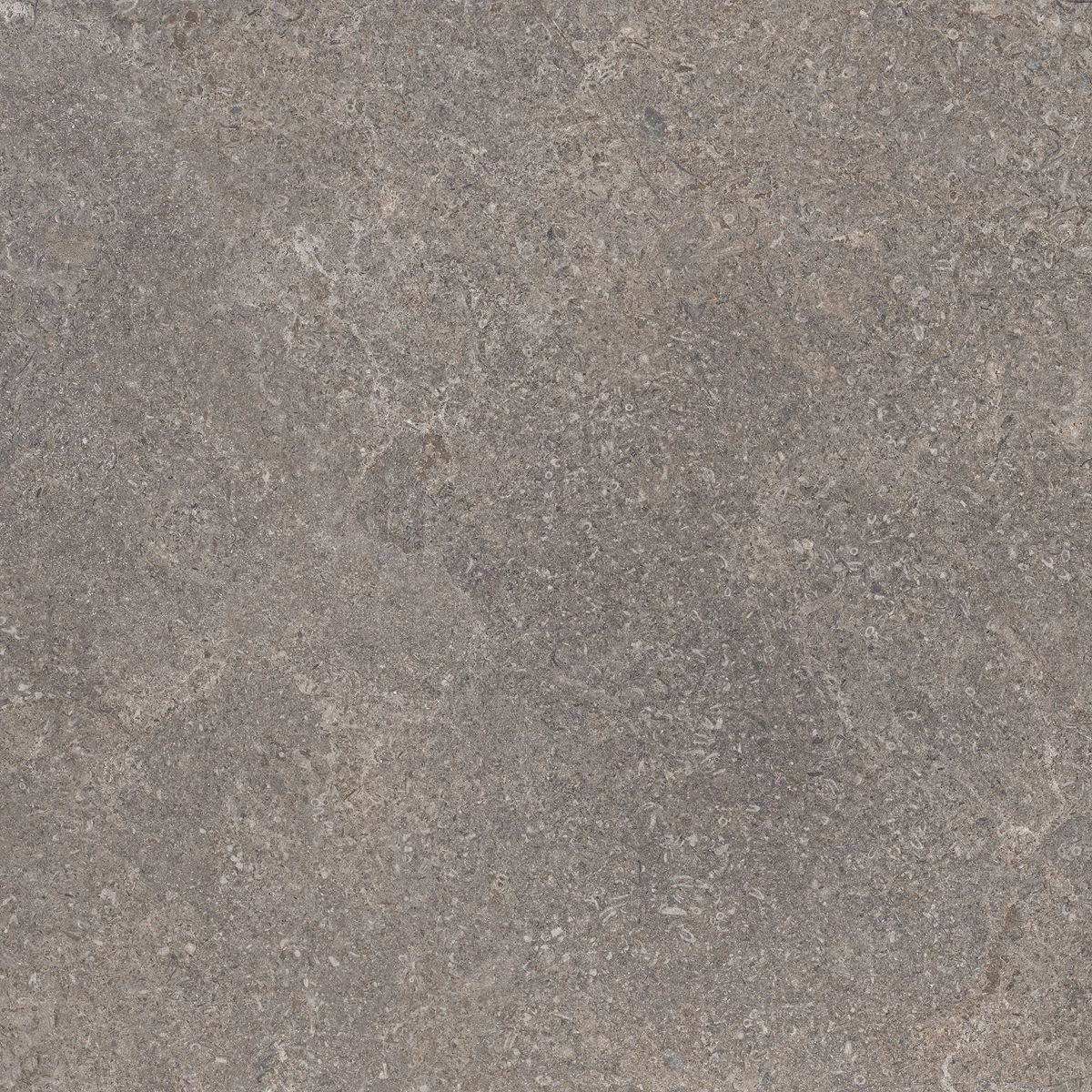 EASTER BROWN_03