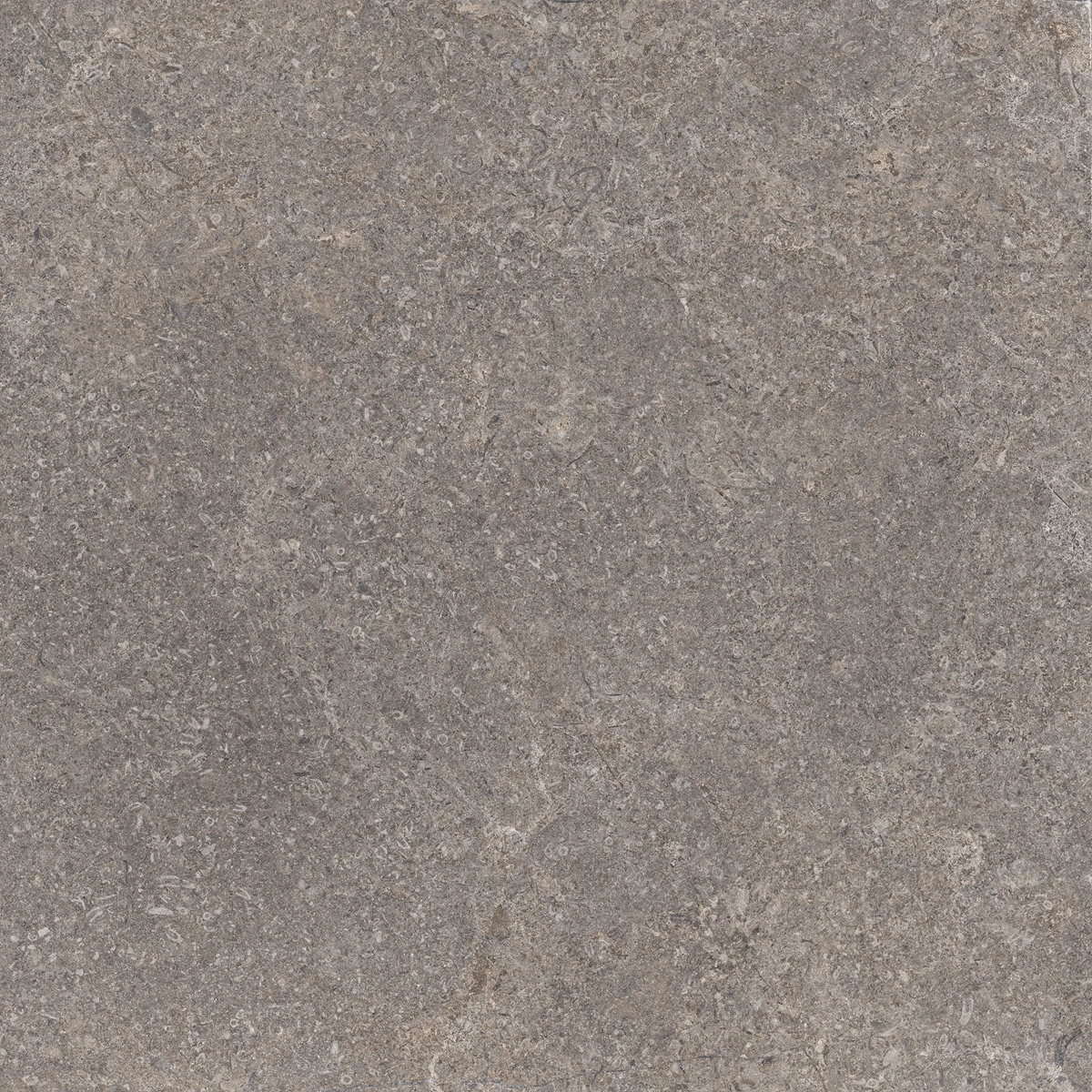 EASTER BROWN_02