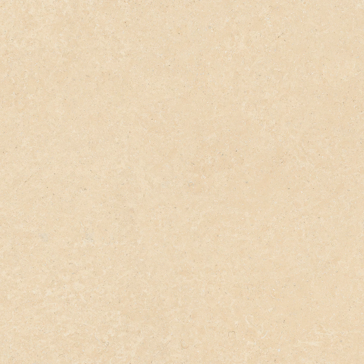 ELISTA BEIGE_02