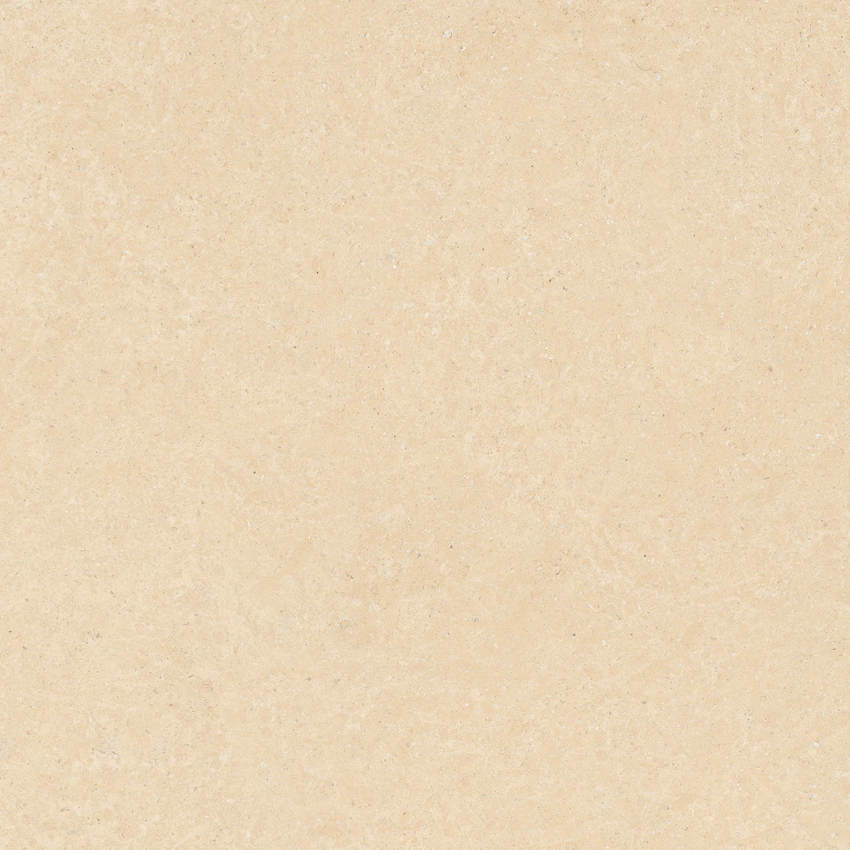ELISTA BEIGE_03