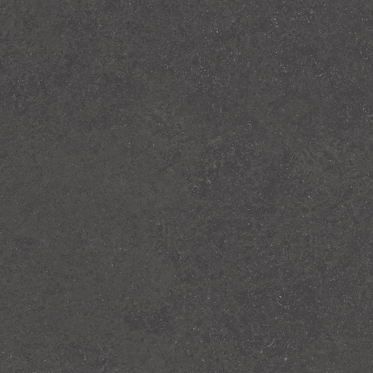 ELISTA BLACK_02