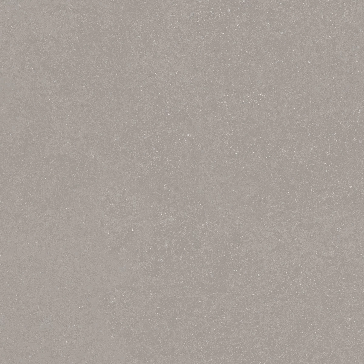 ELISTA GREY_03