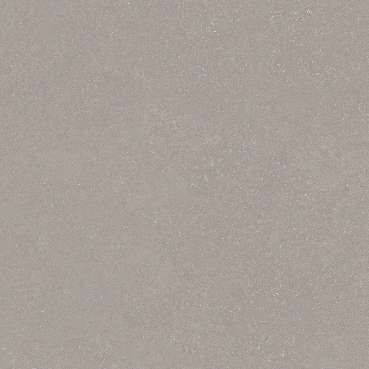 ELISTA GREY_02