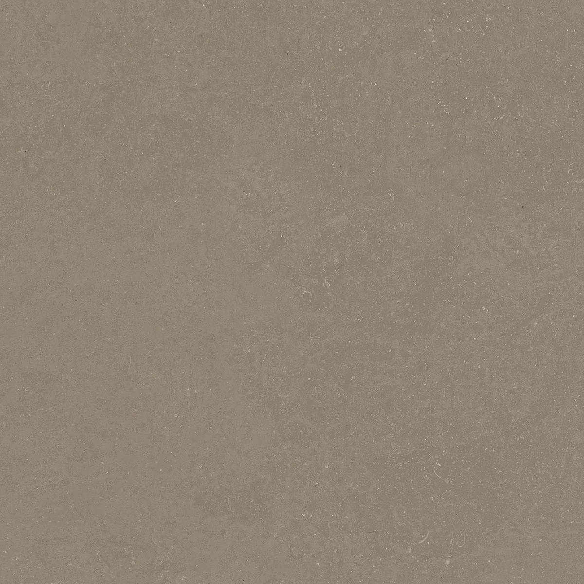 ELISTA VERDE_02