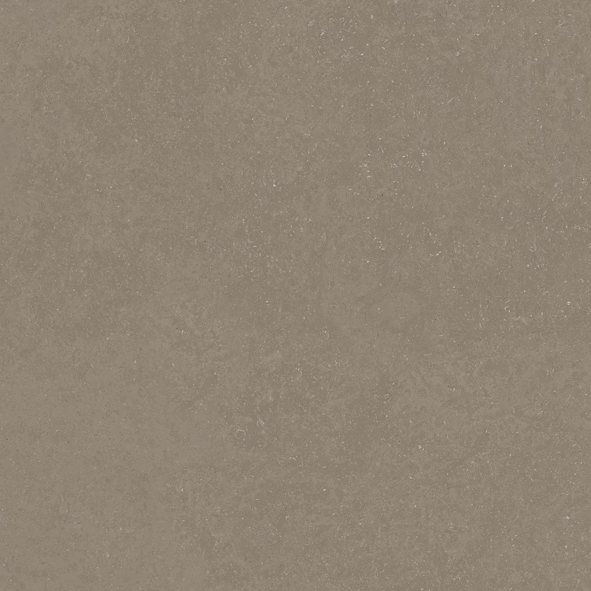 ELISTA VERDE_03