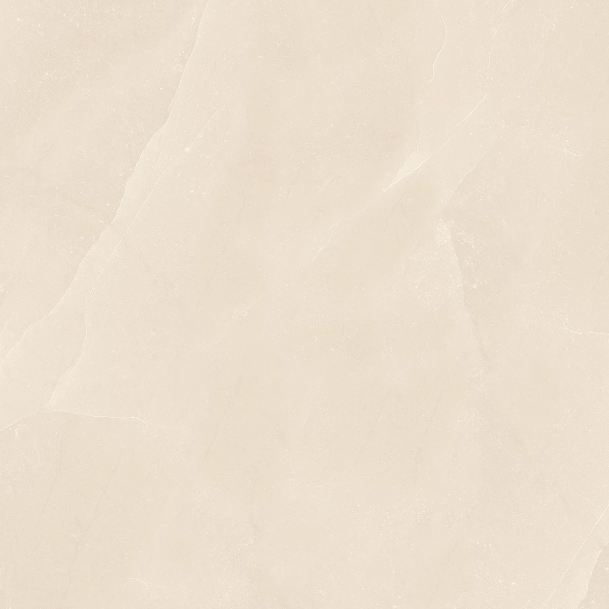 FALCON BEIGE_03