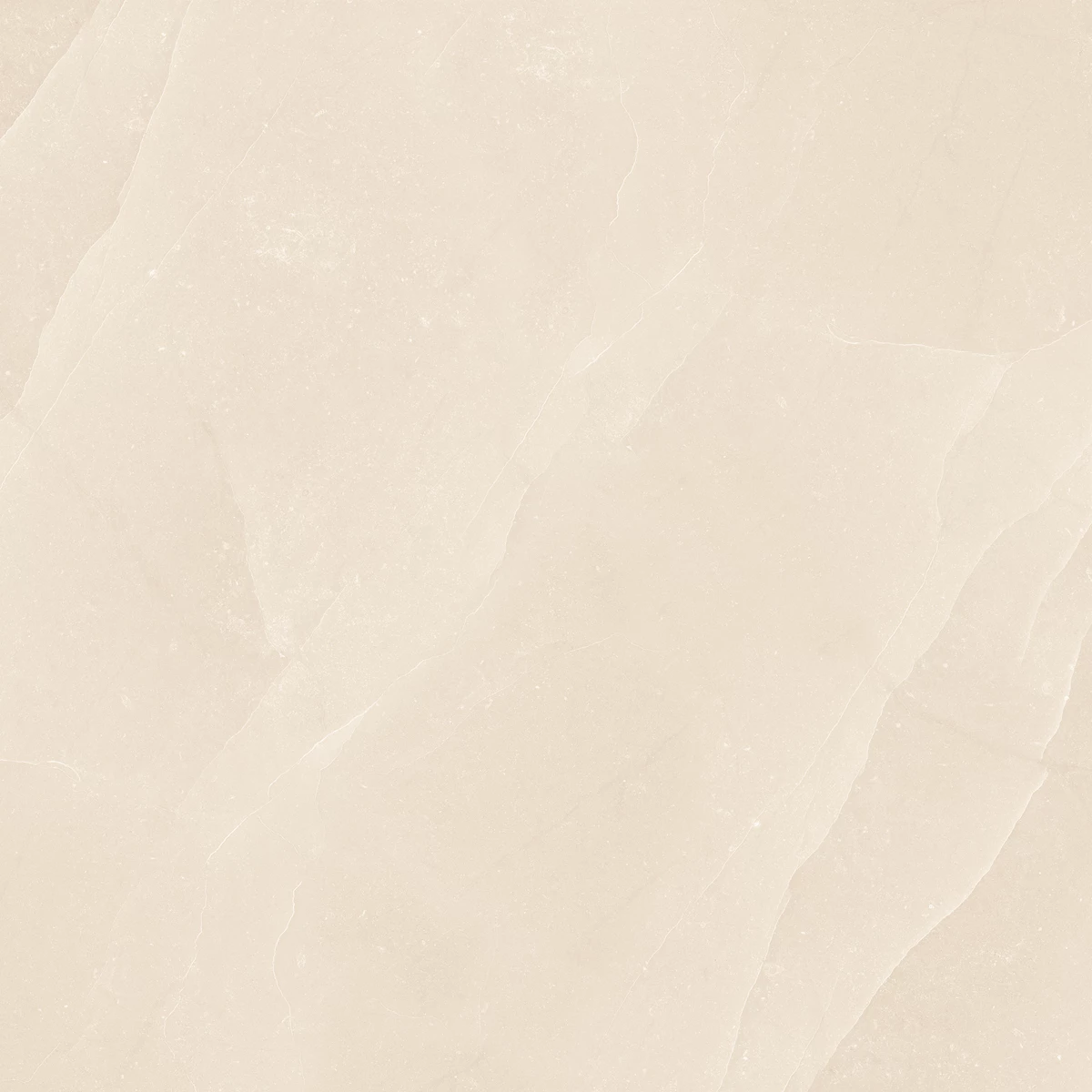 FALCON BEIGE_02