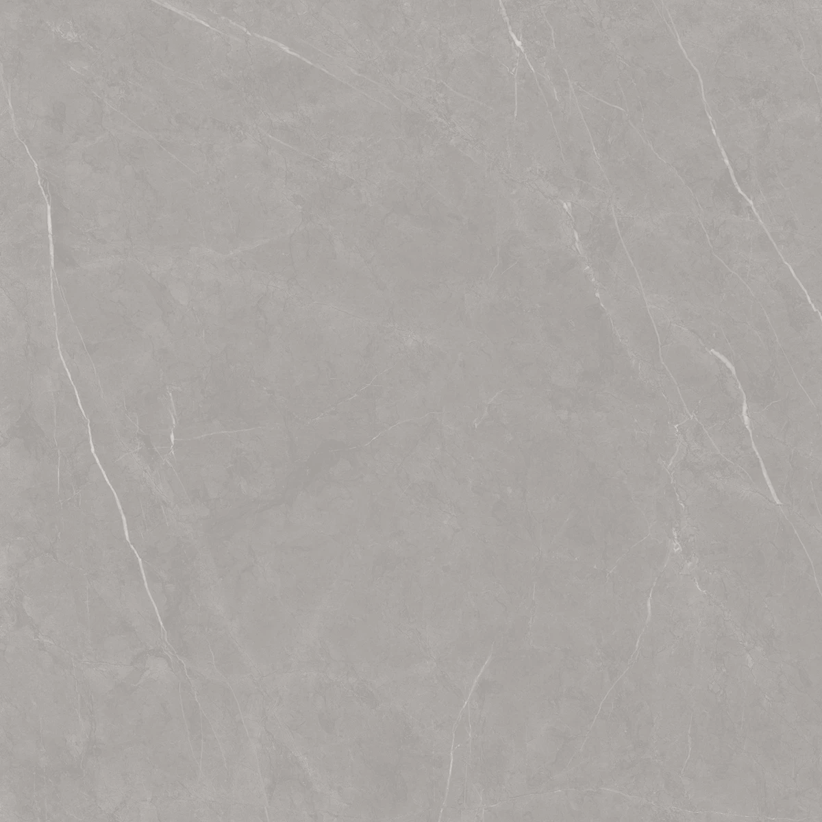 FLOD GREY_02