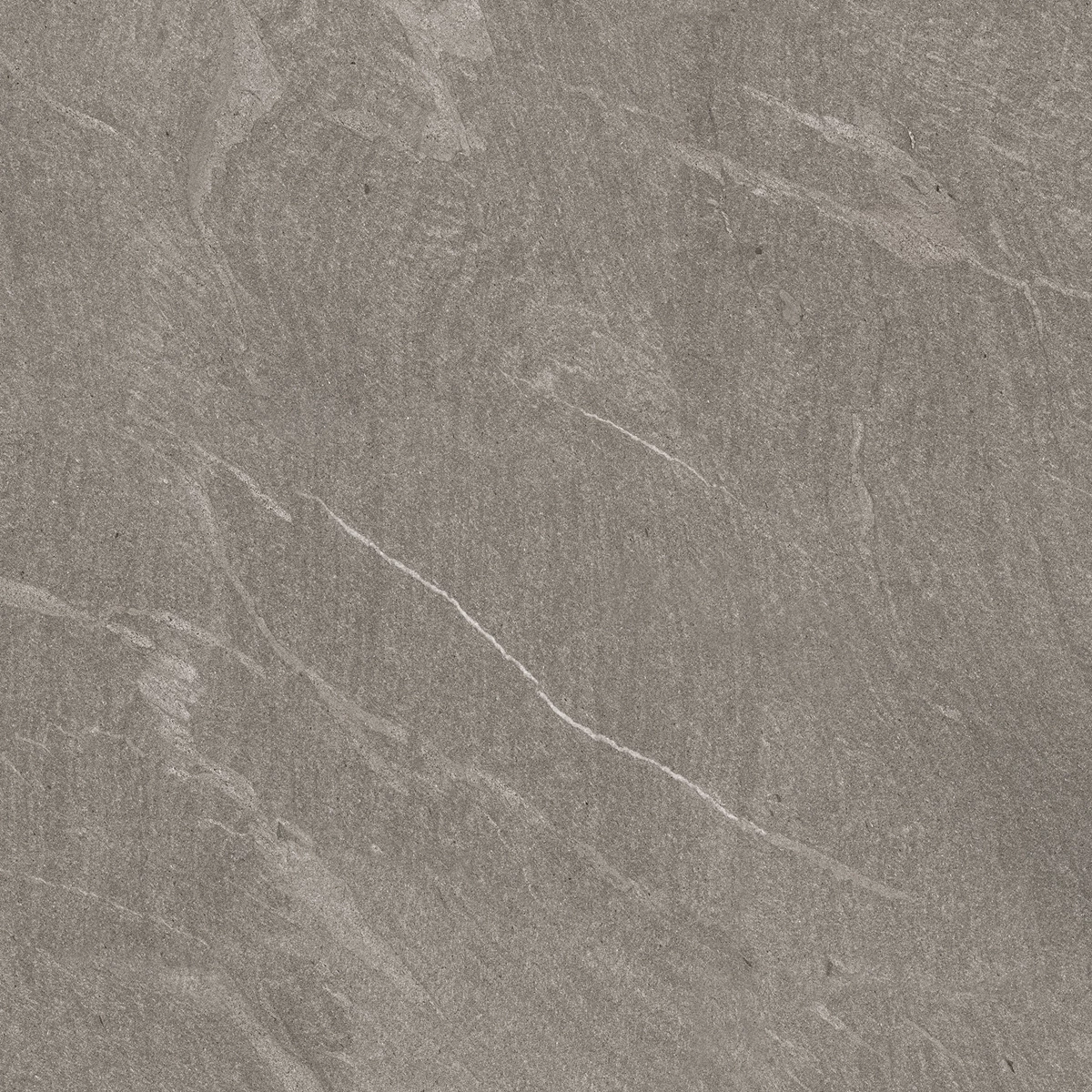 TROYAL GRIS_02