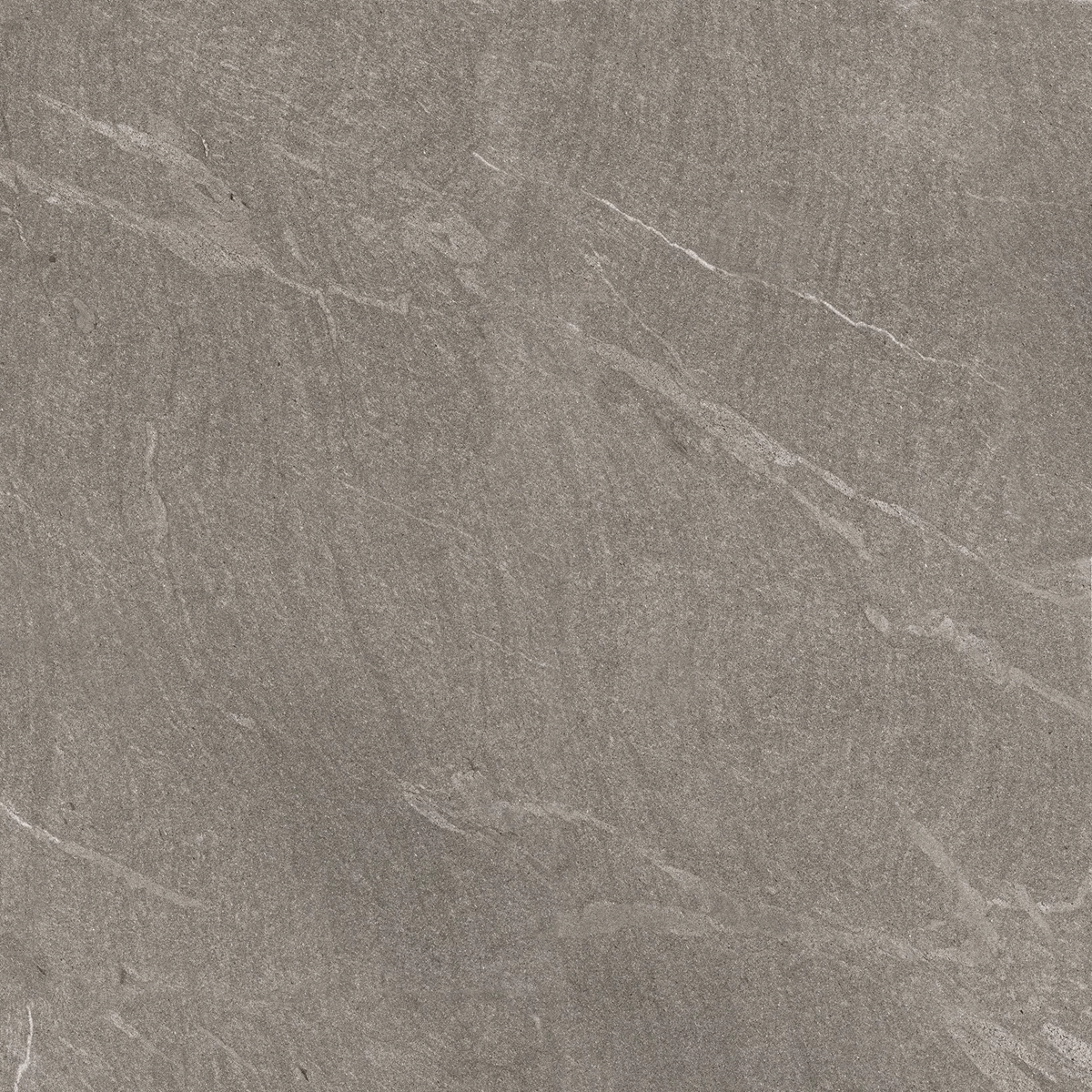 TROYAL GRIS_03