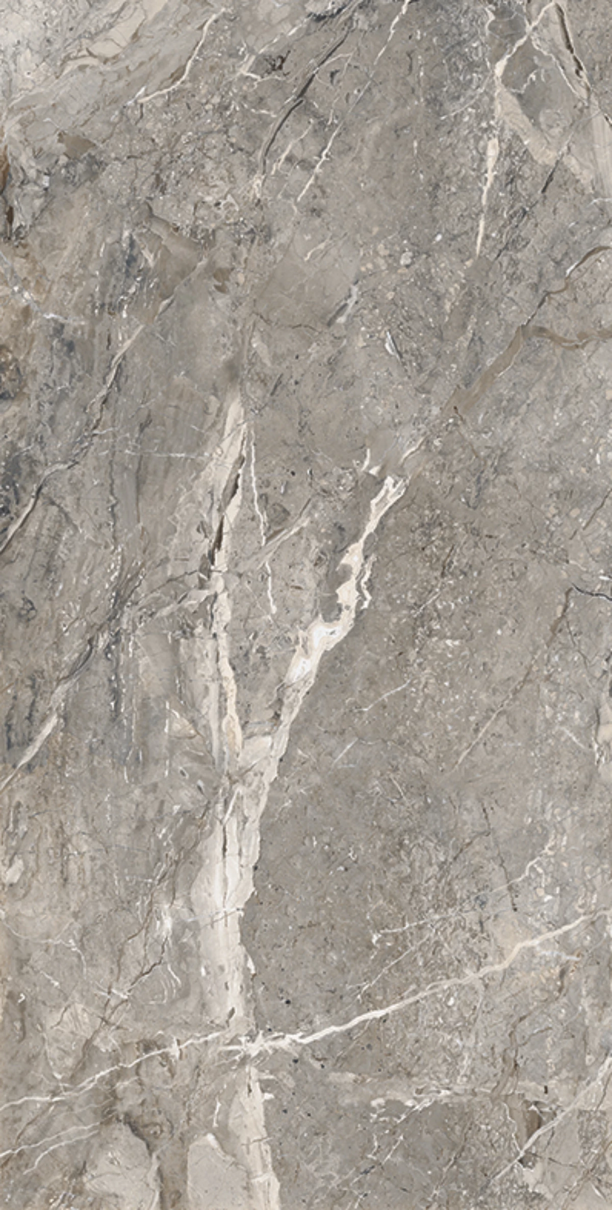 BRECCIA MARINO ASH_F1