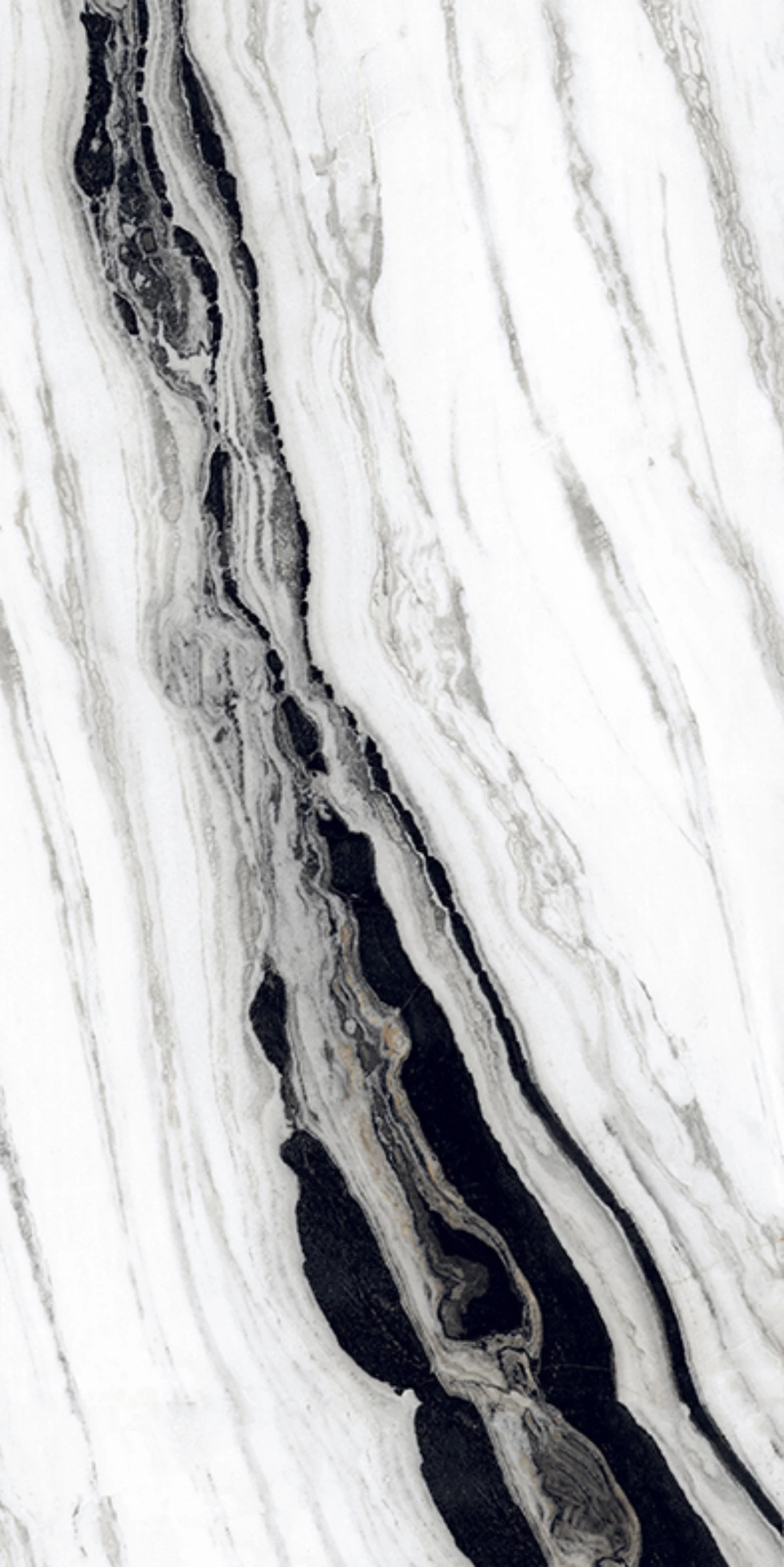 COVELANO LASA_12X24_R1