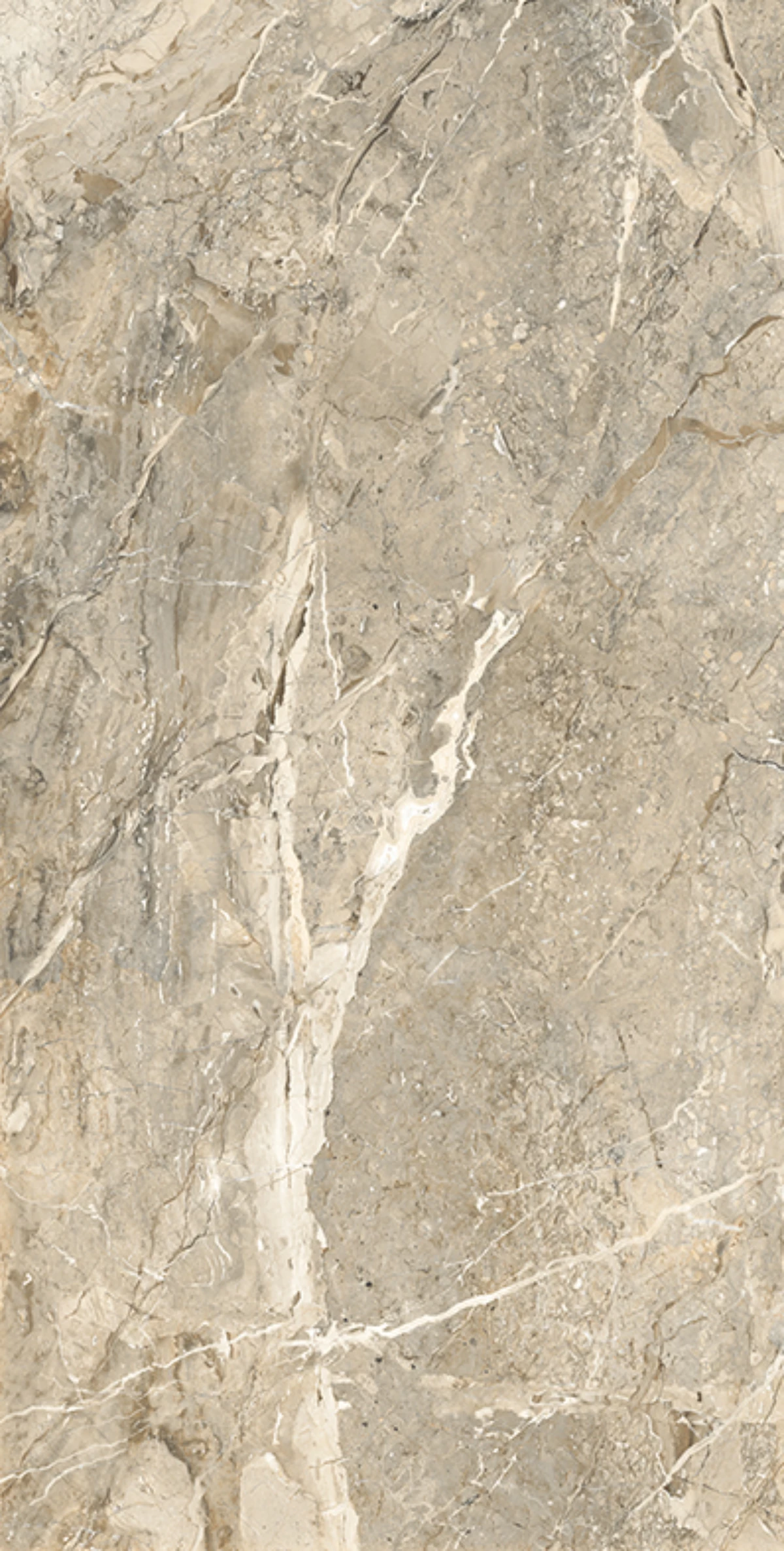 BRECCIA MARINO NATURAL_F1