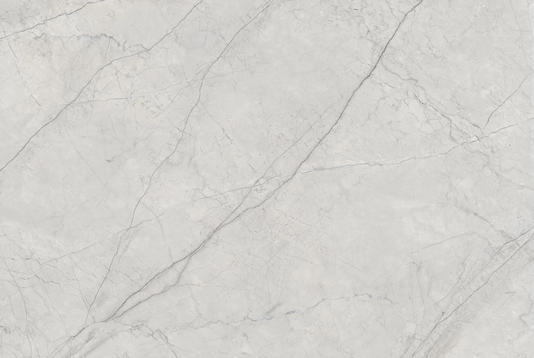 AGUSTINE GREY_03