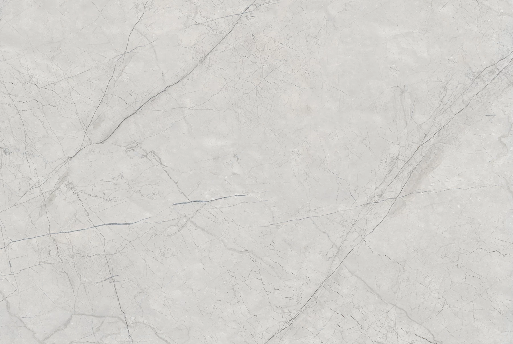 AGUSTINE GREY_02