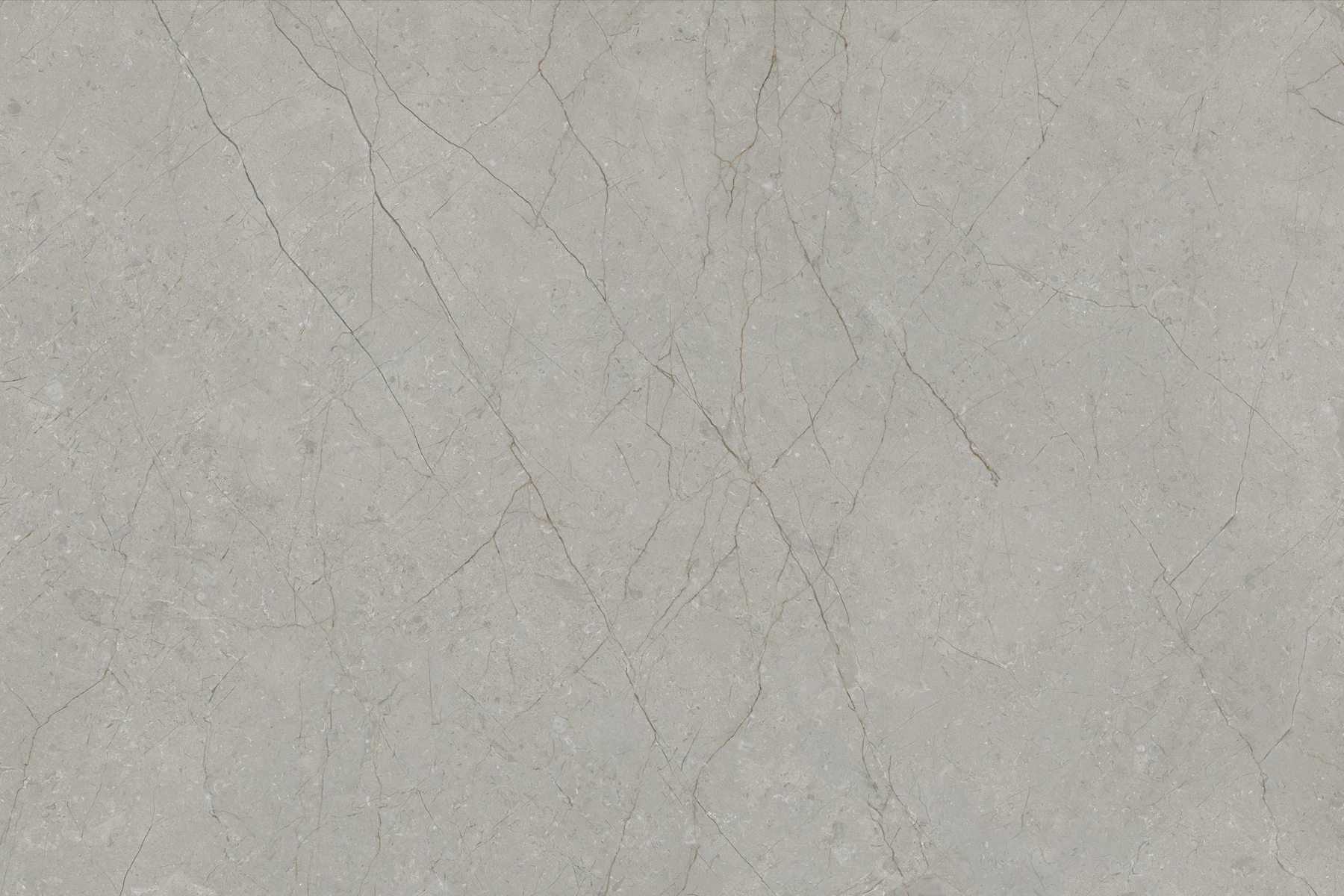 DELICE GREY_03