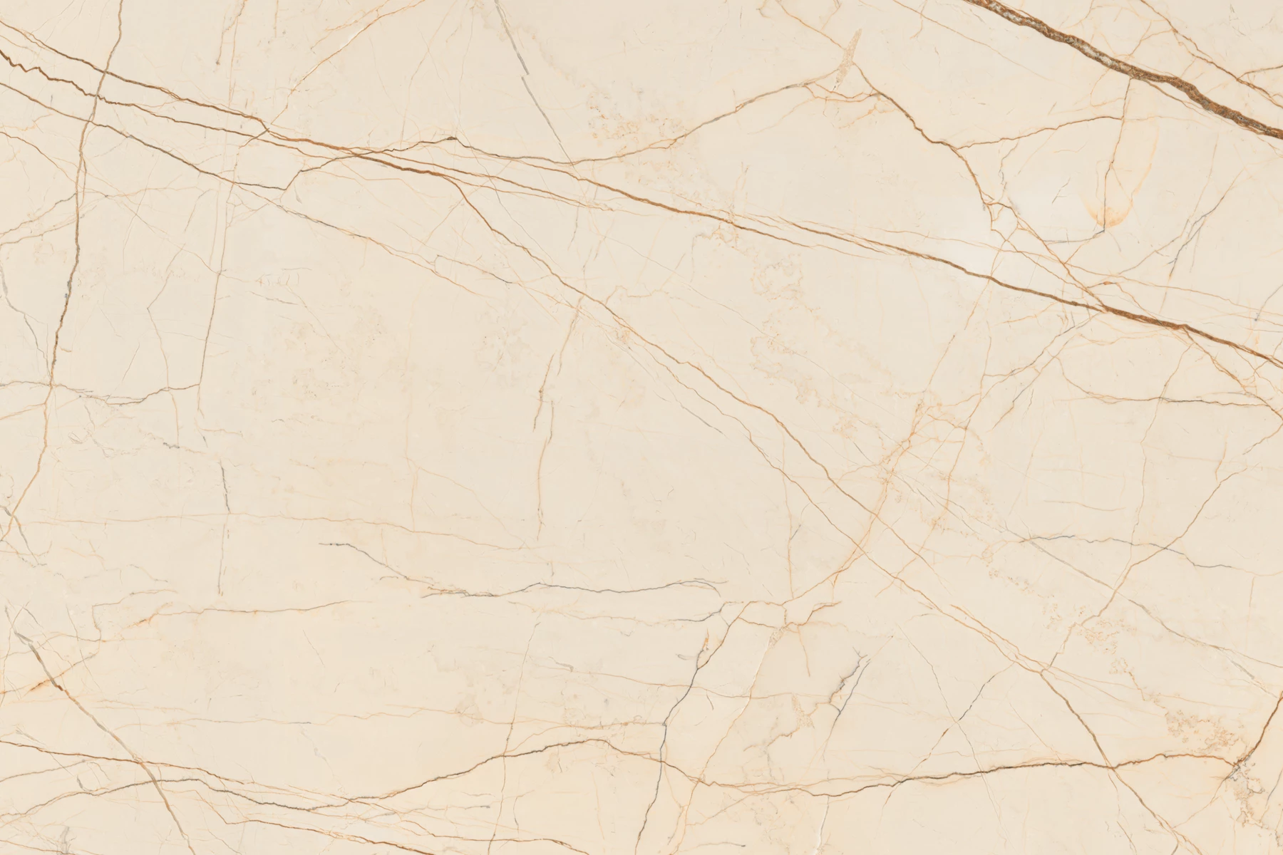 FERIS BEIGE_03