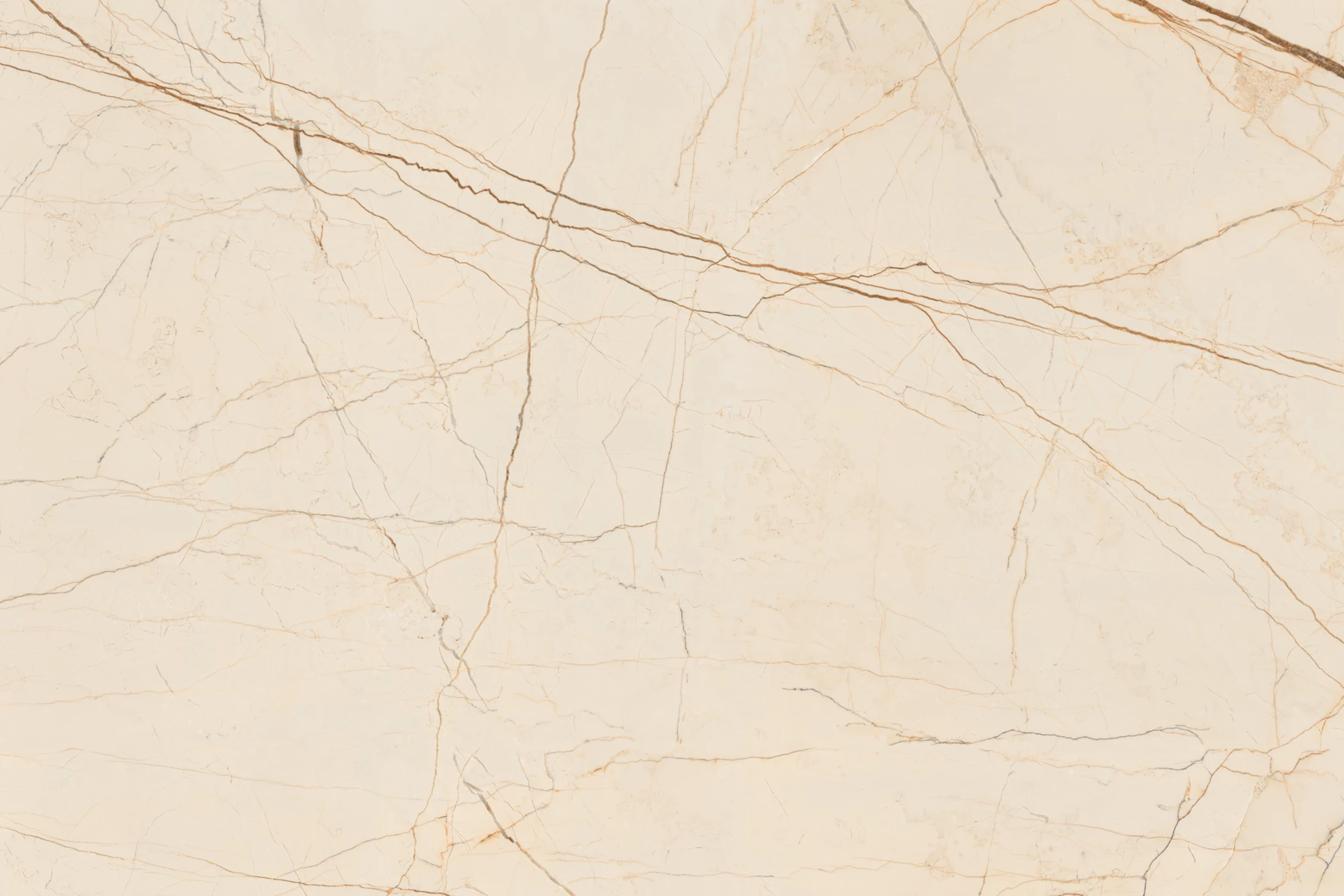 FERIS BEIGE_02