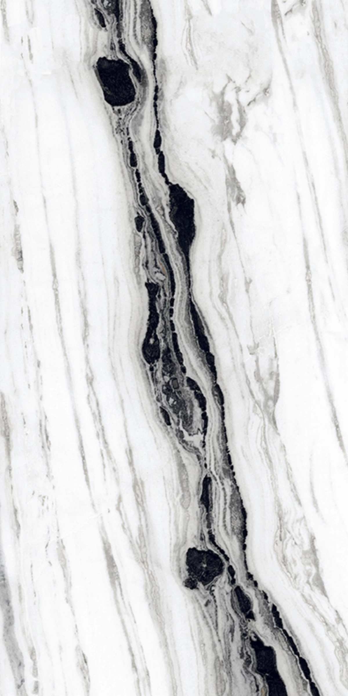 COVELANO LASA_12X24_R2