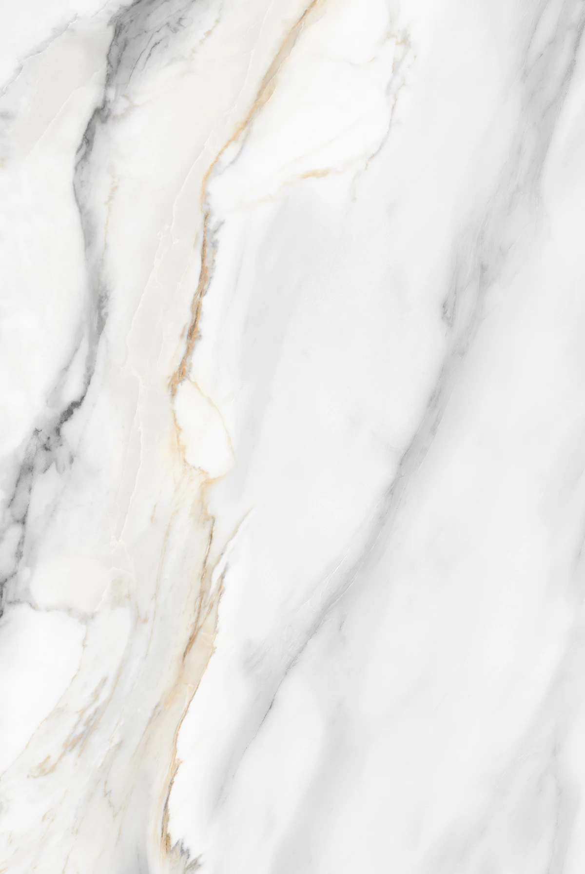 AVIS WHITE_02