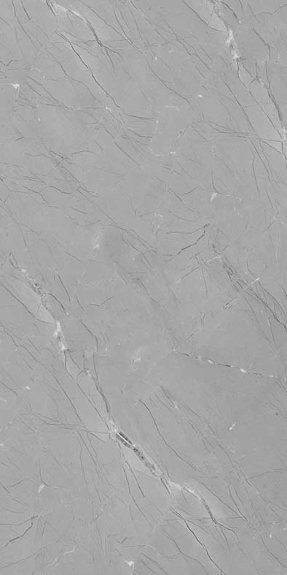 IRIS GREY_F2(ADS 8013)